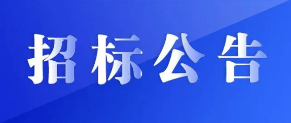 江西長運物流綜合服務(wù)平臺采購項目競爭性磋商公告