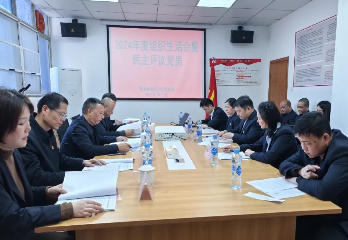 長運物業(yè)經(jīng)營分公司黨支部召開2024年度組織生活會暨民主評議黨員大會  李偉到會督導